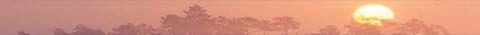 banner7.jpg